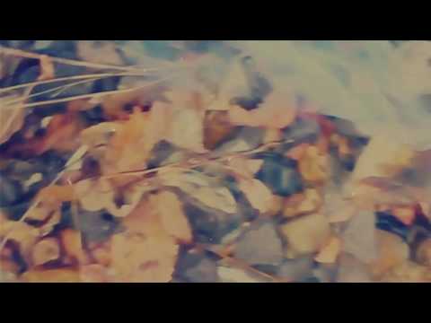 Bomba de fum (damavuh)