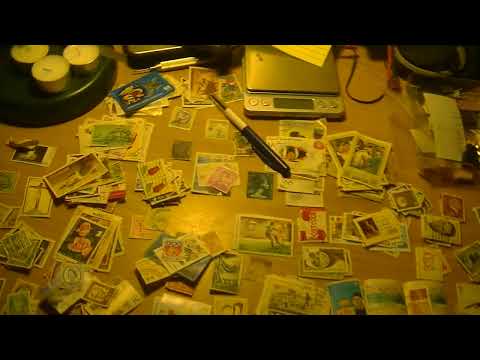 MongoTV_12600 - GARDEN RAILWAY - Part 14 - 7.5 Gauge - Just Looking - Tracks