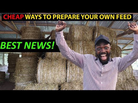 , title : 'Cheap Way To Feed Your Goats, Sheep & Cows | Learn How To Prepare Your Feed'