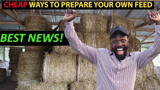 Cheap Way To Feed Your Goats, Sheep & Cows | Learn How To Prepare Your Feed