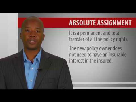 4   Life Insurance Policies   Provisions, Options and Riders