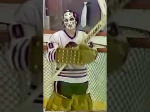 Murray Bannerman #shorts #nhl #hockeygoalie