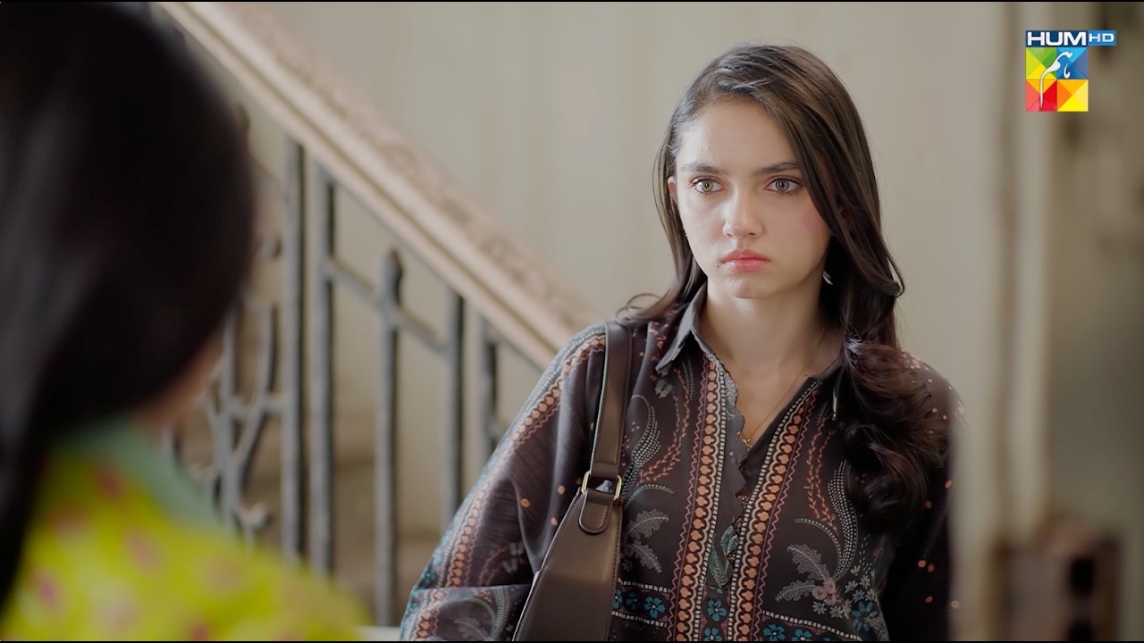 Hello Baji Kis Se Milna Hai...! Tum Larkay Bhi Na - HUM TV