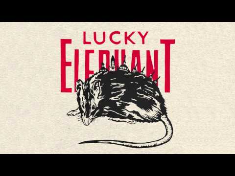 Lucky Elephant - Hitting Me Twice