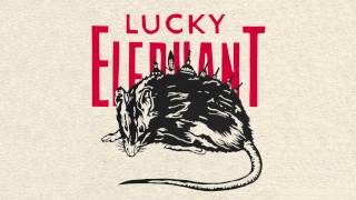 Lucky Elephant - Hitting Me Twice