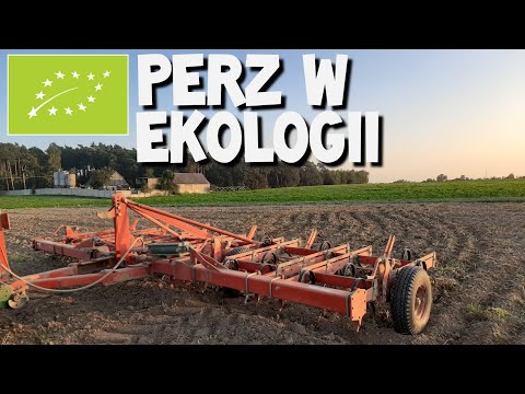 WALKA Z PERZEM W EKOLOGII /Mechaniczne zwalczanie perzu - EKO Porady.