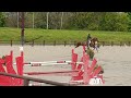 Belle Jument poulini&egrave;re 12 ans - Top Origines