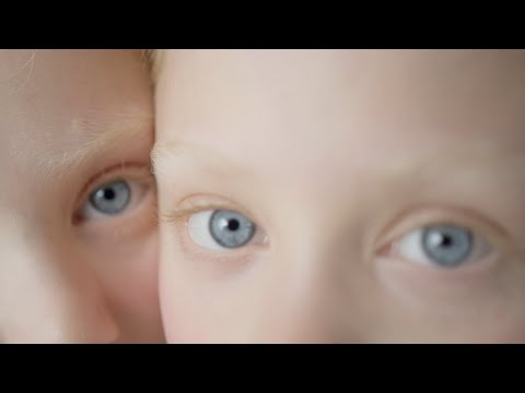 video-show