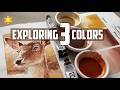 Comparing Daniel Smith Transparent Oxide Watercolors