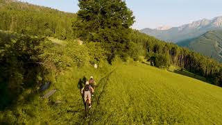 Bike-Urlaub in Südtirol