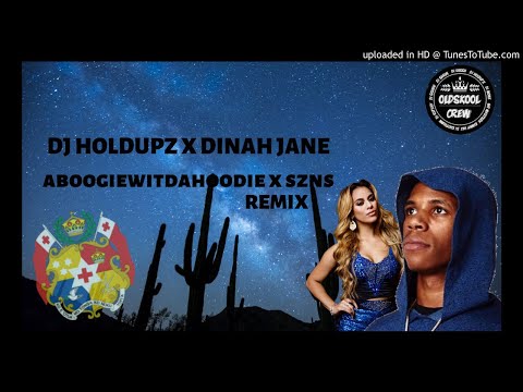 DJHOLDUPZ X DINAH JANE - SZNS REMIX 2K19 ( READ THE DESCRIPTION)