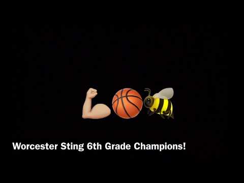 Worcester Sting 6th Grade Champions! 10-20-19