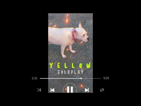 Remix paloma #dogs #perros