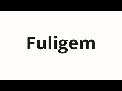 How to pronounce Fuligem