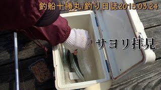 preview picture of video '【釣り日誌】釣船 十勝丸 筏の様子 サヨリ/キス 大分県佐伯市蒲江'