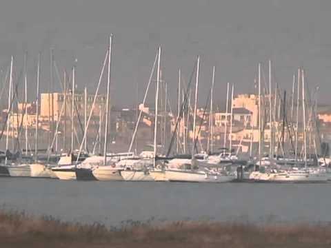 Festival di Burlamacco 2016: "Viareggio in maschera".