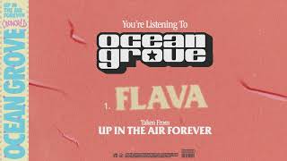FLAVA Music Video