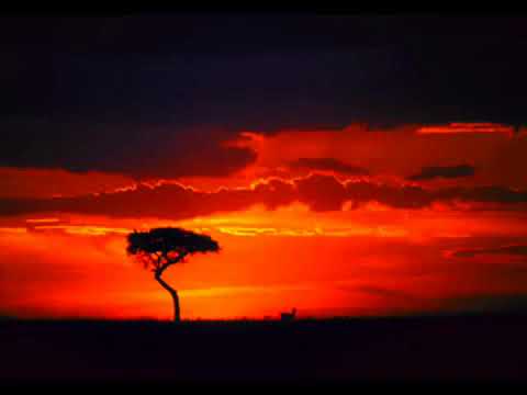 Ben Watt X Stimming feat. Julia Biel - Bright Star (Sunset Mix)