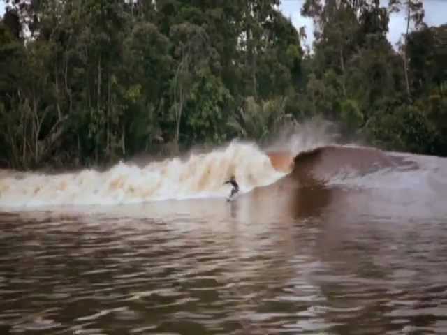 surfing on the river "The exciting Bono Pelalawan, Riau, Indonesia