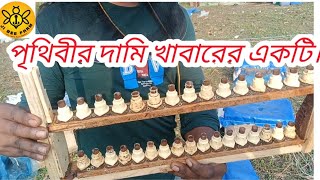 |best bees product|Royal jelly বাংলাদেশ এ আমরা উৎপাদন করছি রয়েল জেলি।