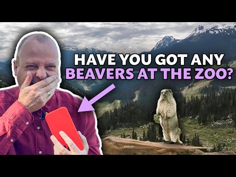 Prank Calling The Zoo