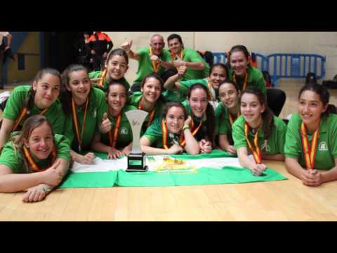 CESA 2014 ANDALUCIA INFANTIL FEM  VOLEIBOL