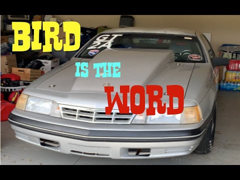 Resurrecting a 1988 427 cubic inch Clevor powered Ford Thunderbird after 5 Years #nonamenationals