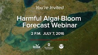 You're Invited to the 2016 Harmful Algal Bloom Forecast Webinar