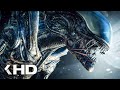 The Reboot Is Coming ALIEN 5 Romulus 2024 KinoCheck News