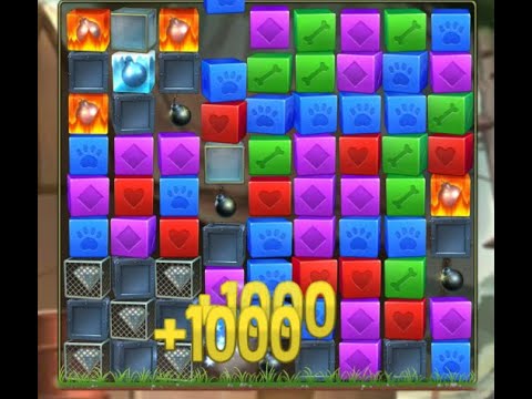 Pet Rescue Saga Level 5163 no boosters