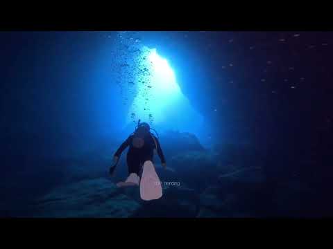 The Owen Wilson Home Improvement Season 129 Movie | Official Trailer | Top Trending