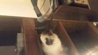 Hollerado - A Lot Like Christmas