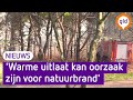 Brandweer vraagt hulp, zo voorkom je een natuurbrand