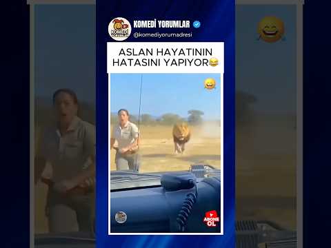 FİLDEN ASLANA UNUTULMAZ DERS! 😂 #shorts #komikyorumlar
