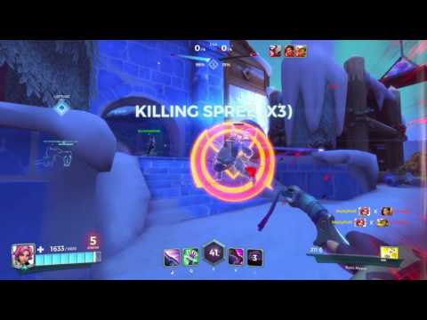 Paladins - Don't Be Racist!