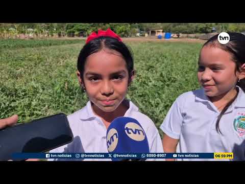Estudiantes de La Mesa de Veraguas desarrollan un huerto escolar con fondo agropecuario