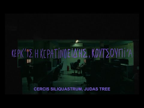 Larry Gus - Kerkis (Judas-Tree)  [Official Video]