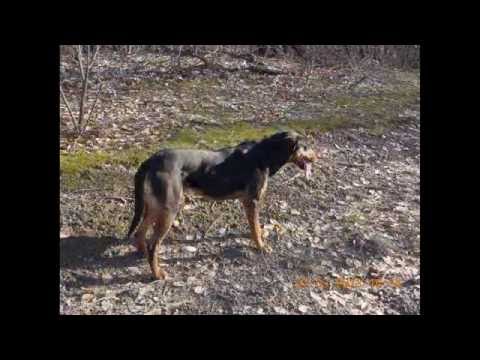 Crainici satul meu natal !