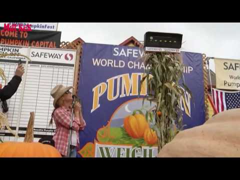 Hennes tungviktare krossade motståndet