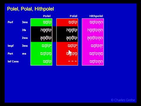 40.02   Polel   Polal   Hithpolel