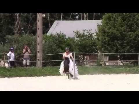 download lagu mp3 mp4 Cours Equitation Roanne, download lagu Cours Equitation Roanne gratis, unduh video klip Cours Equitation Roanne