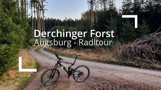 Derchinger Forst