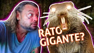 Miniatura do vídeo