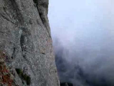 Fisura Albastra Directa