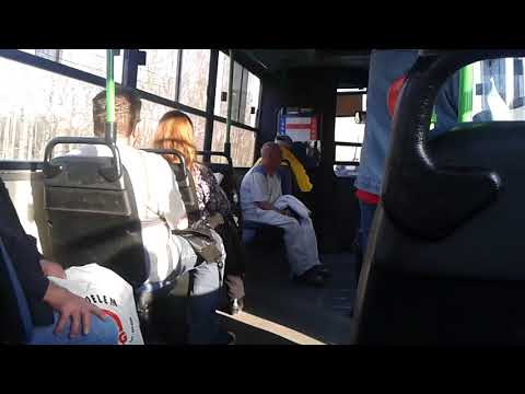 Ikarus 260.46 (BPI-625) [123-as busz] Előd utca - Mesgye utca