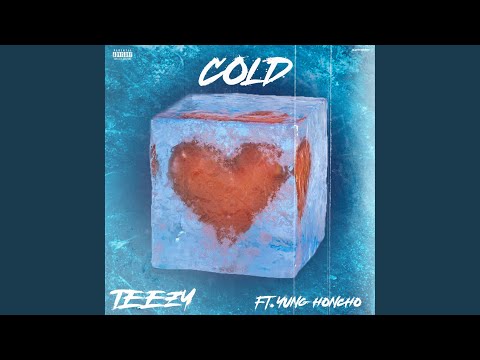 Cold (feat. Yung Honcho)