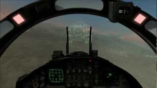 DCS: FC3 Flying with the Pros