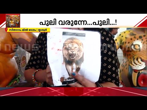 പുലിയുടെ ‍നെഞ്ചിൽ സിംഹം!! ആർപ്പോ വിളിച്ച് ദേഹത്ത് സിംഹ ചായം പൂശിയ പുപ്പുലി | Thrissur | Pulikali