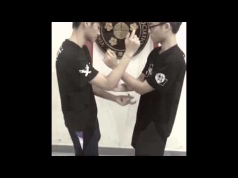 WSLVT Training at the VTAA.   Sifu John Wong Hong Chung, son of Wong Shun Leung