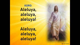 Bukas Palad Music Ministry - Salmo 118 (with Lyrics)